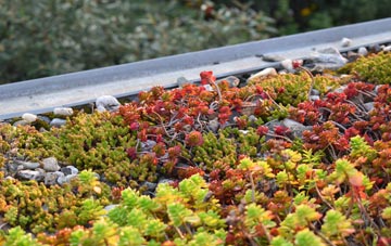 the cost of Hetton Le Hole green roof installation