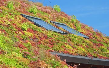 Hetton Le Hole living roof systems