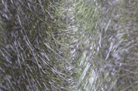 Hetton Le Hole fibreglass roof work